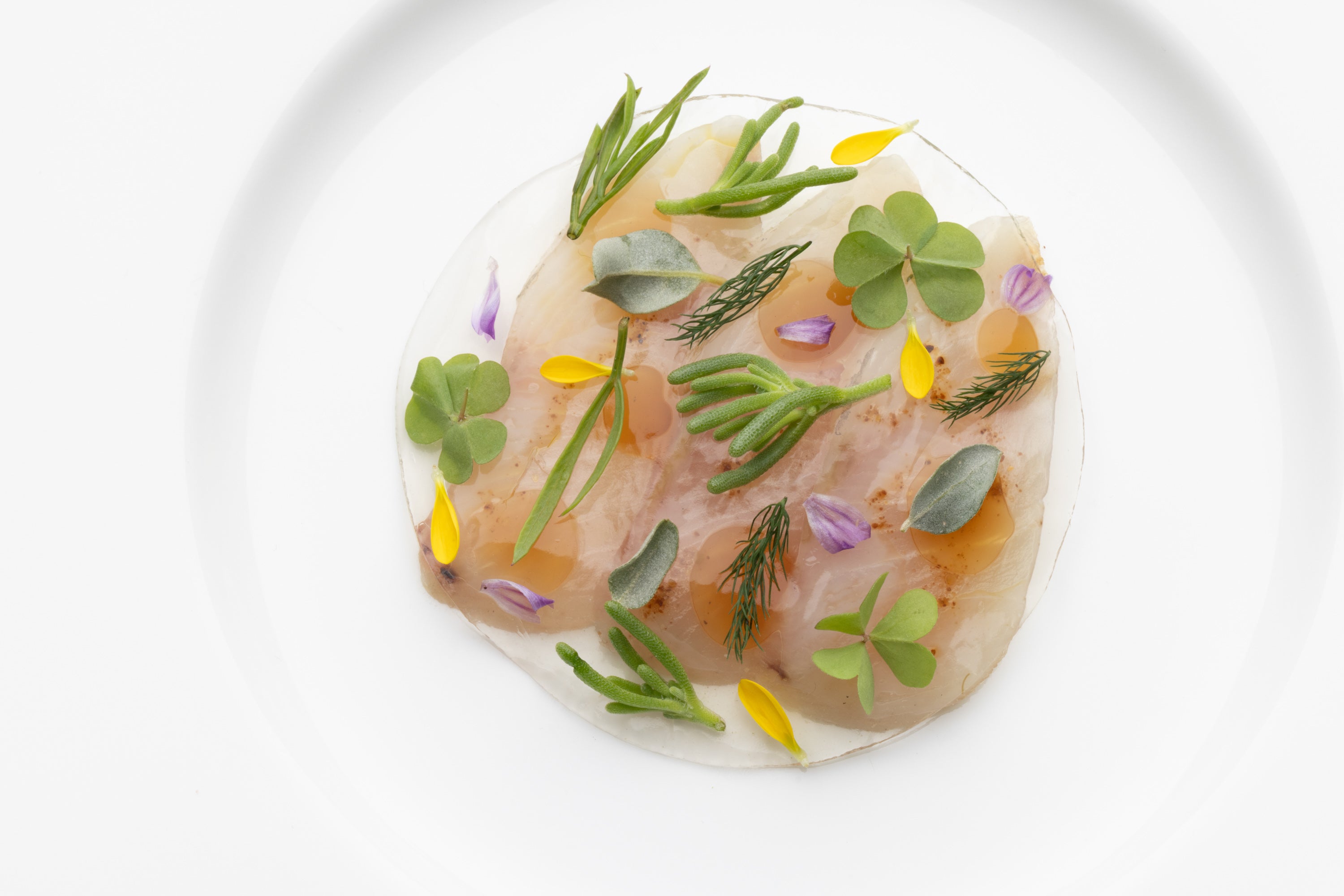 Voucher Regalo per una Cena presso il Ristorante Terra